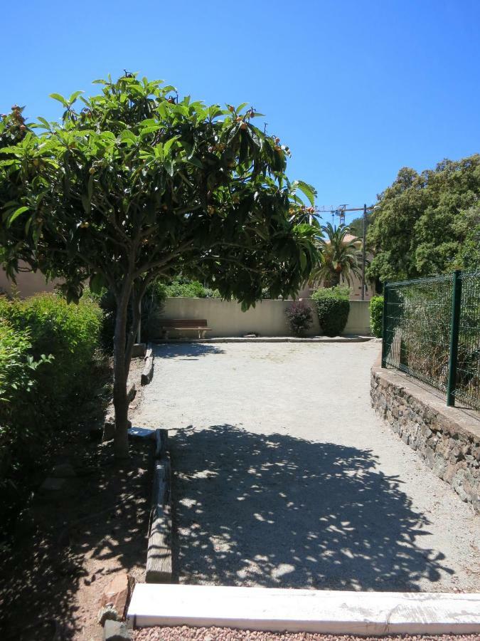 Joli Studio A Front De Mer Saint-Raphael  Luaran gambar